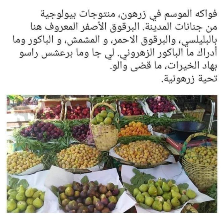 Riad Lala Zakia Мулей Идрис Екстериор снимка